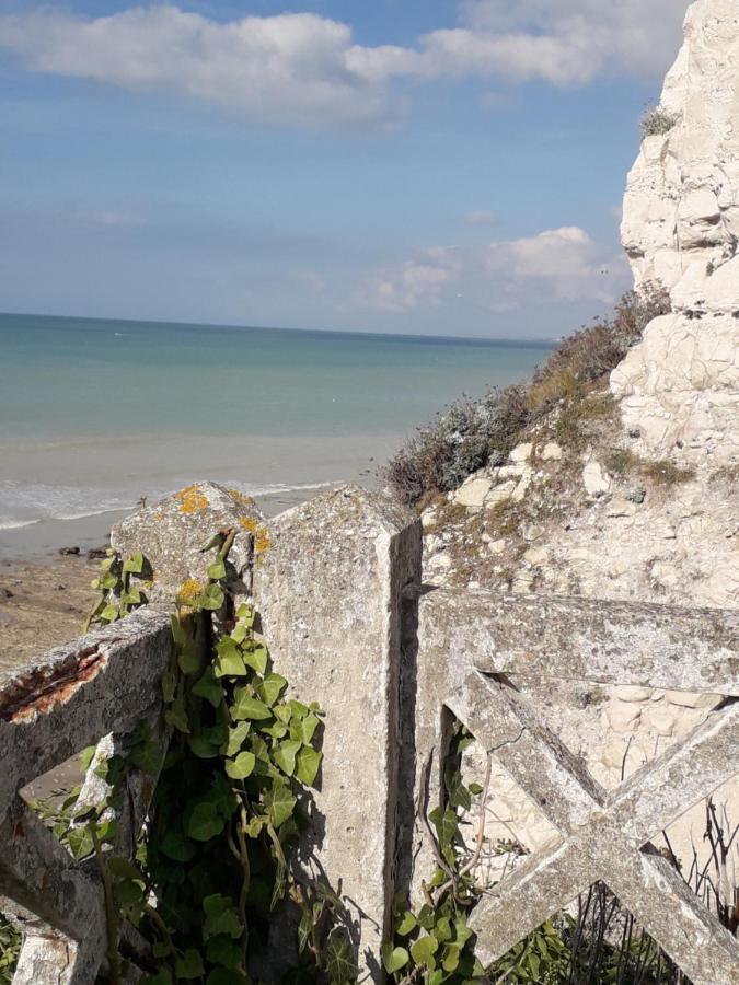 Chez Mirka 2 Chambres Criel-sur-Mer Exteriör bild